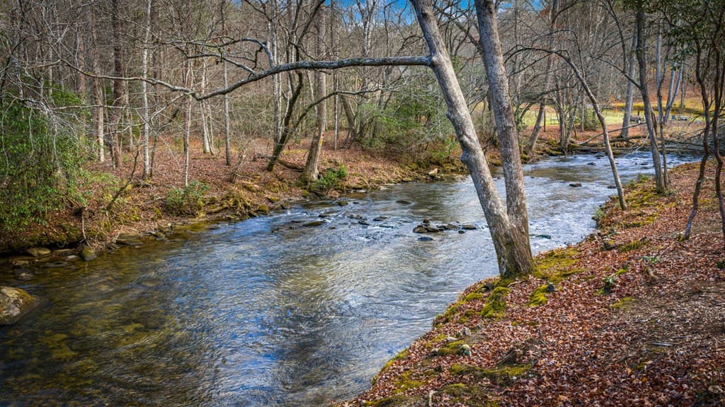 5.15 AC Spence Road, Blue Ridge GA 30513 - Photo