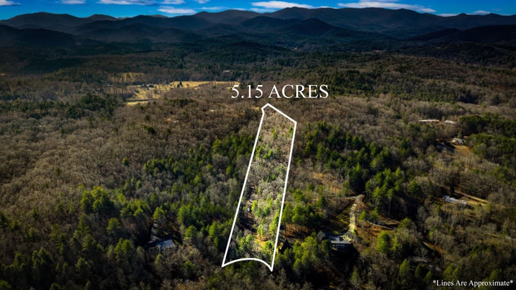 5.15 AC Spence Road, Blue Ridge GA 30513 - Photo