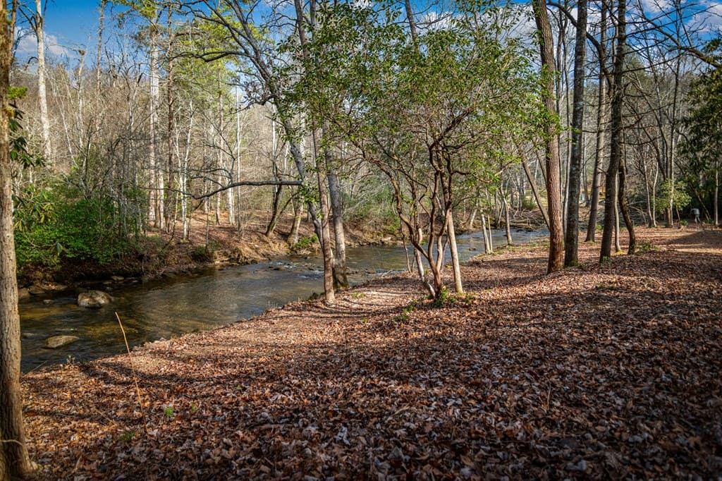 5.15 AC Spence Road, Blue Ridge GA 30513 - Photo