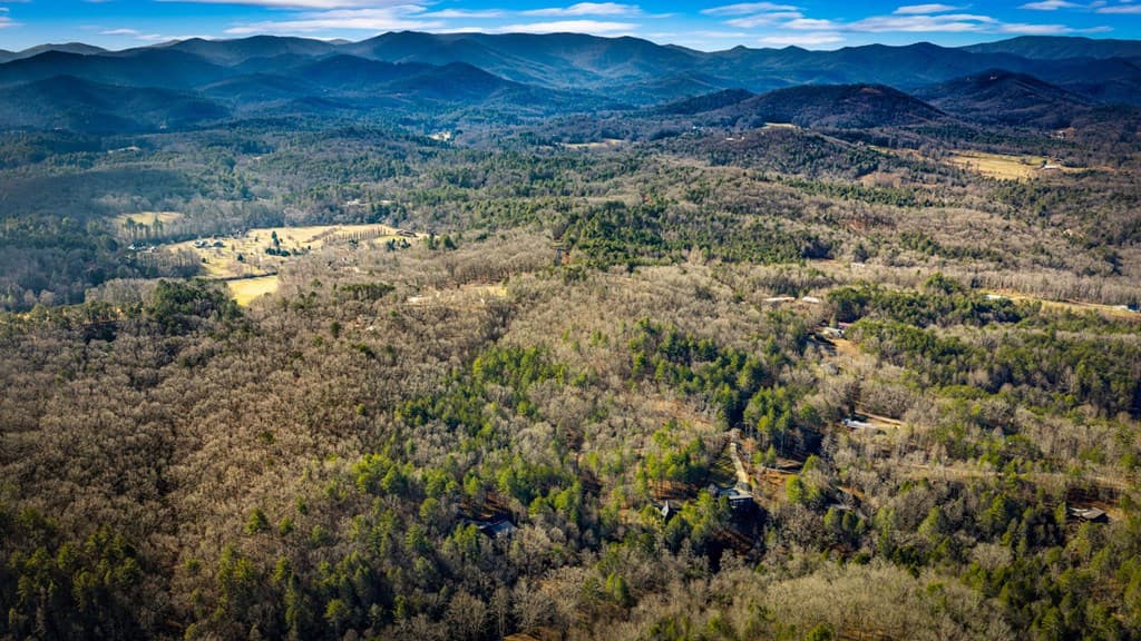 5.15 AC Spence Road, Blue Ridge GA 30513 - Photo