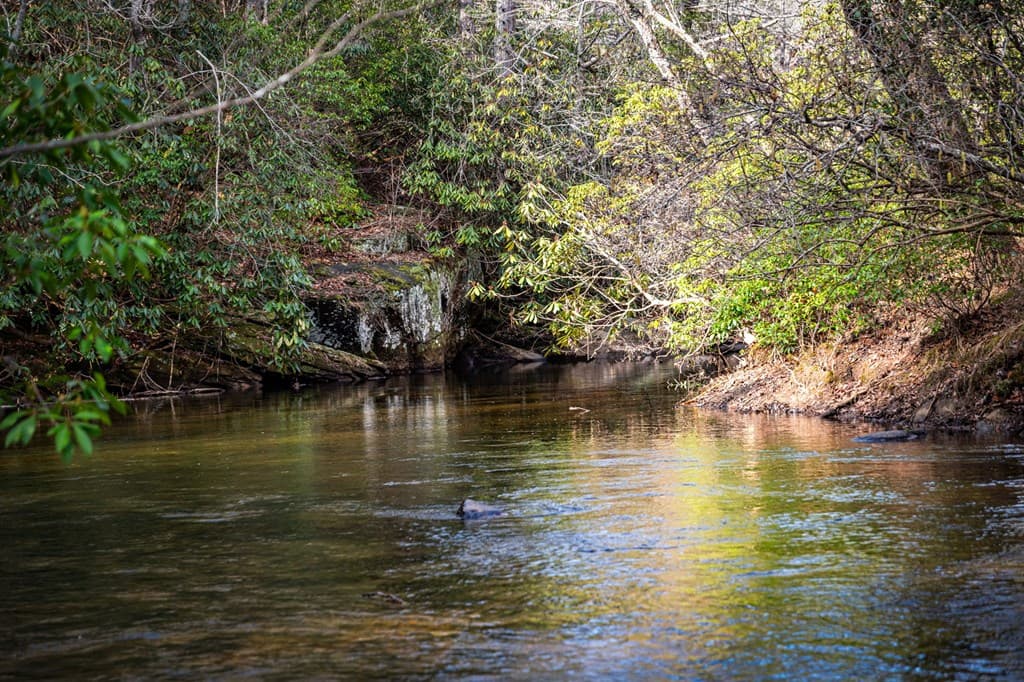 5.15 AC Spence Road, Blue Ridge GA 30513 - Photo