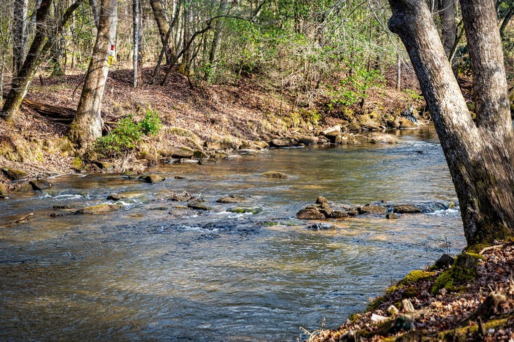5.15 AC Spence Road, Blue Ridge GA 30513 - Photo