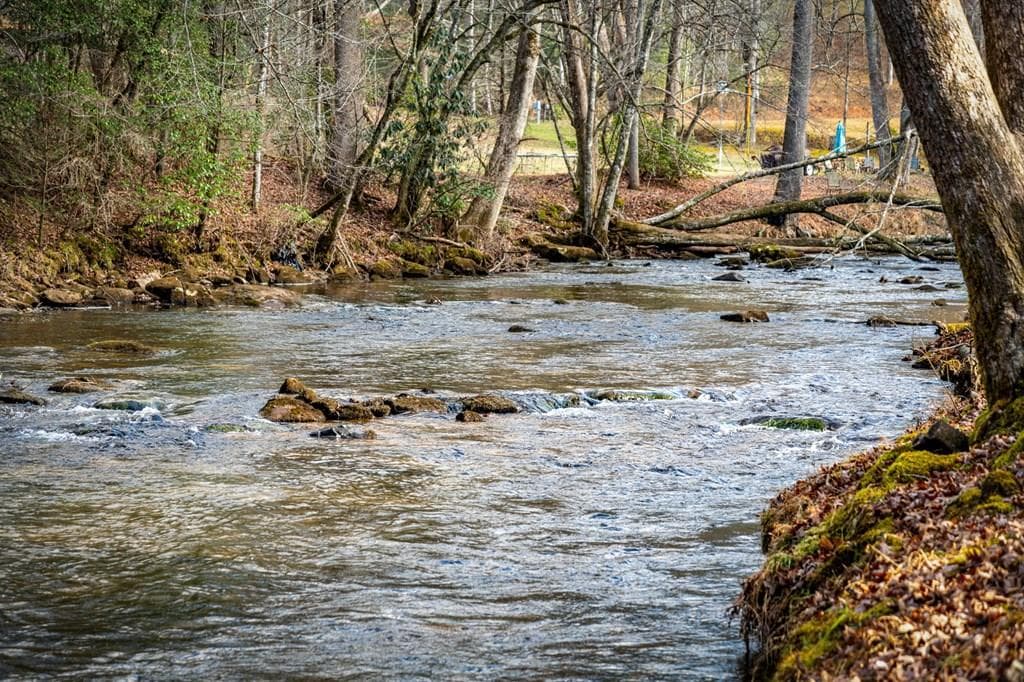 5.15 AC Spence Road, Blue Ridge GA 30513 - Primary photo