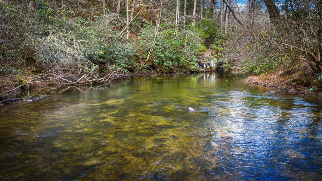 5.15 AC Spence Road, Blue Ridge GA 30513 - Photo