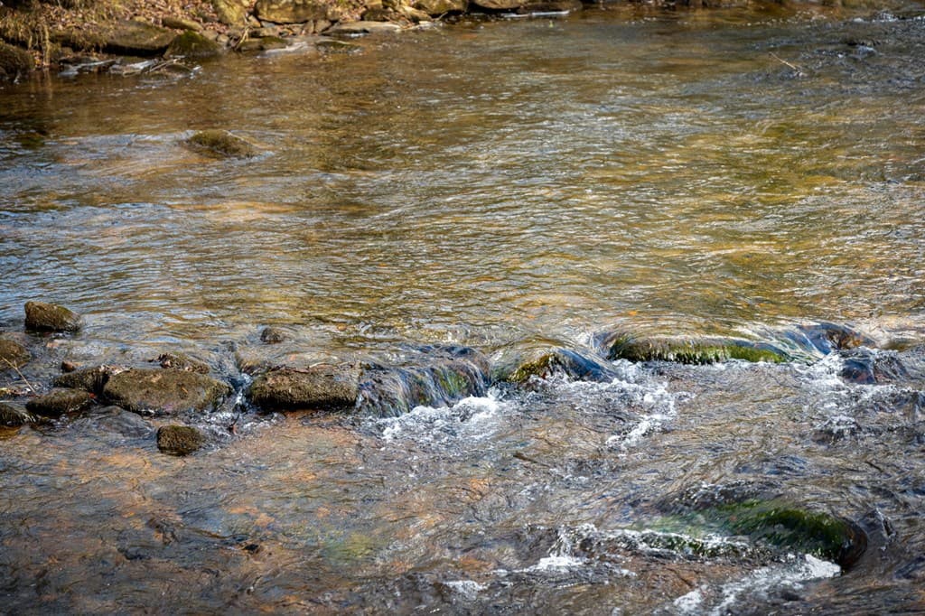 5.15 AC Spence Road, Blue Ridge GA 30513 - Photo