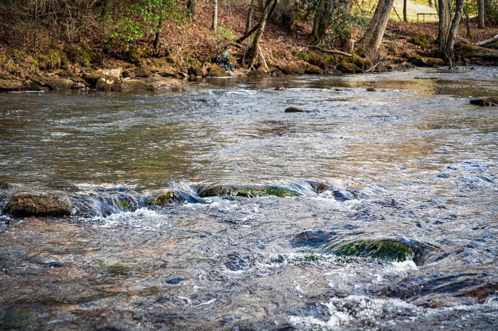 5.15 AC Spence Road, Blue Ridge GA 30513 - Photo