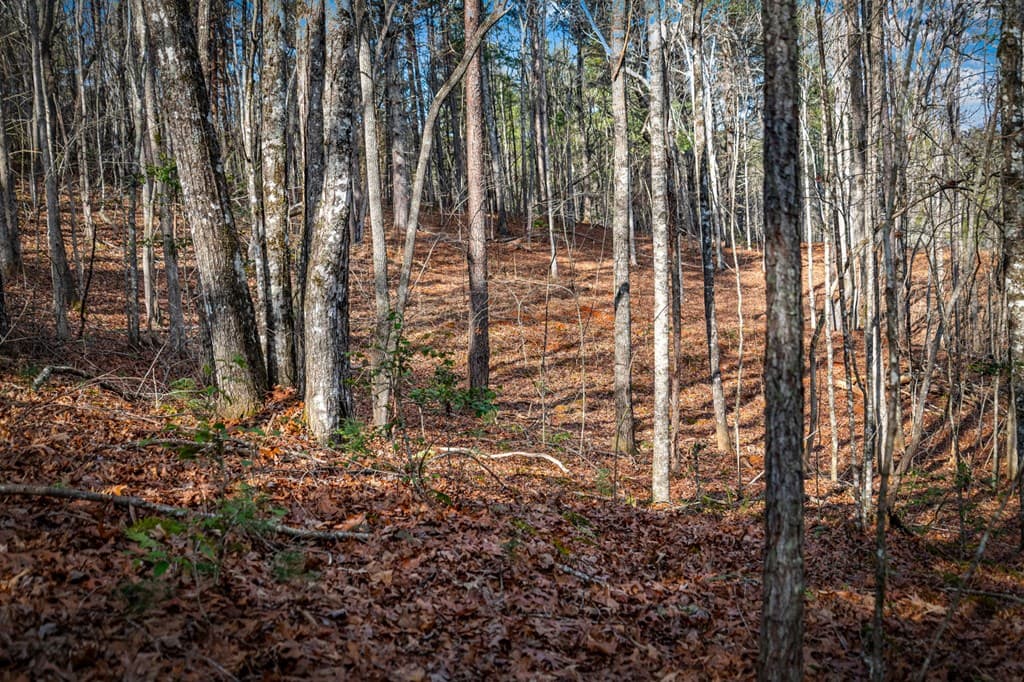 5.15 AC Spence Road, Blue Ridge GA 30513 - Photo