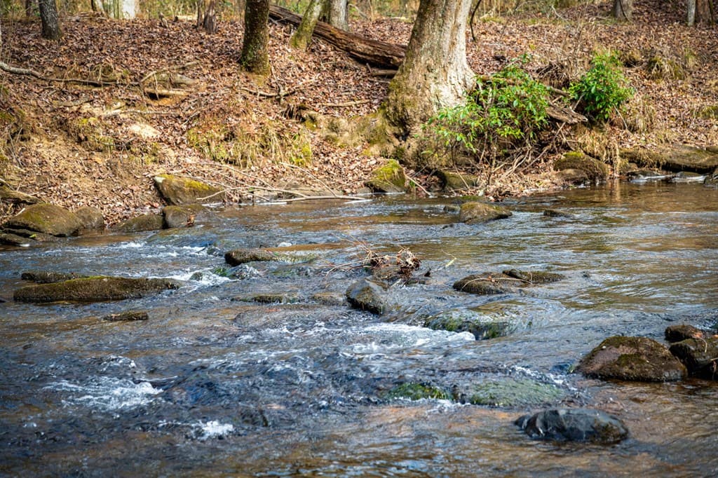 5.15 AC Spence Road, Blue Ridge GA 30513 - Photo