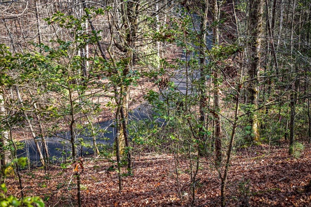 5.15 AC Spence Road, Blue Ridge GA 30513 - Photo