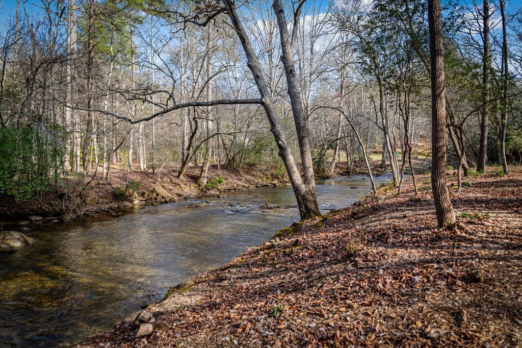 5.15 AC Spence Road, Blue Ridge GA 30513 - Photo