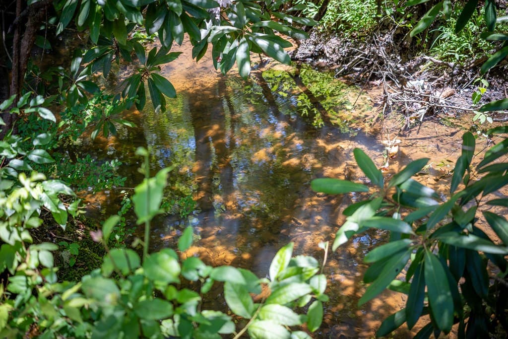 42 Waterstone Way, Mineral Bluff GA 30559 - Photo