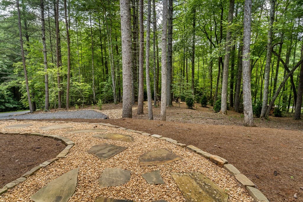 43 Winding Brook Trail, Morganton GA 30560 - Photo