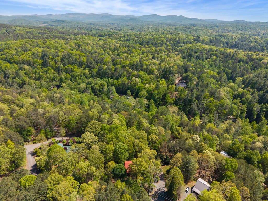 80 Stegall Mill Ridge, Ellijay GA 30536 - Photo