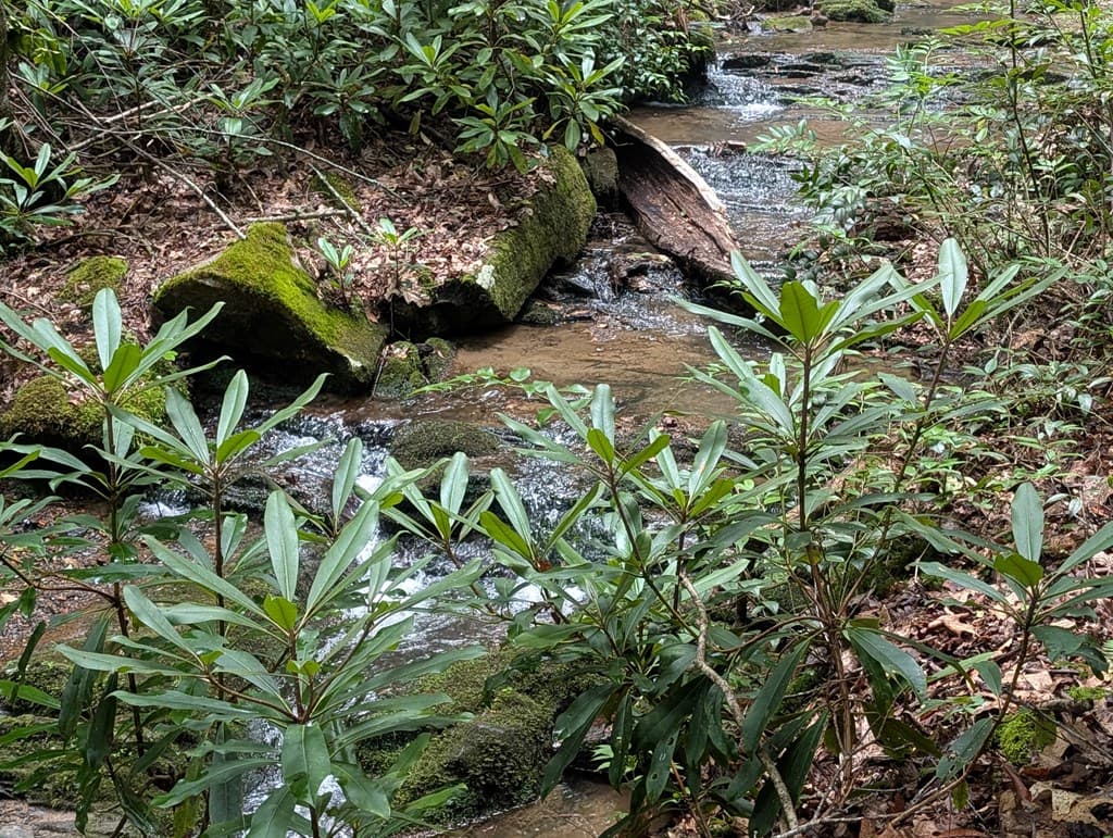 1&2 Water View Lane, Hayesville NC 28904 - Photo
