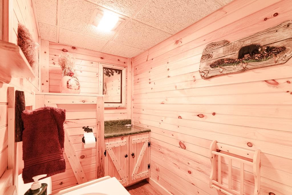 805 Tomahawk Trail, Blairsville GA 30512 - Photo