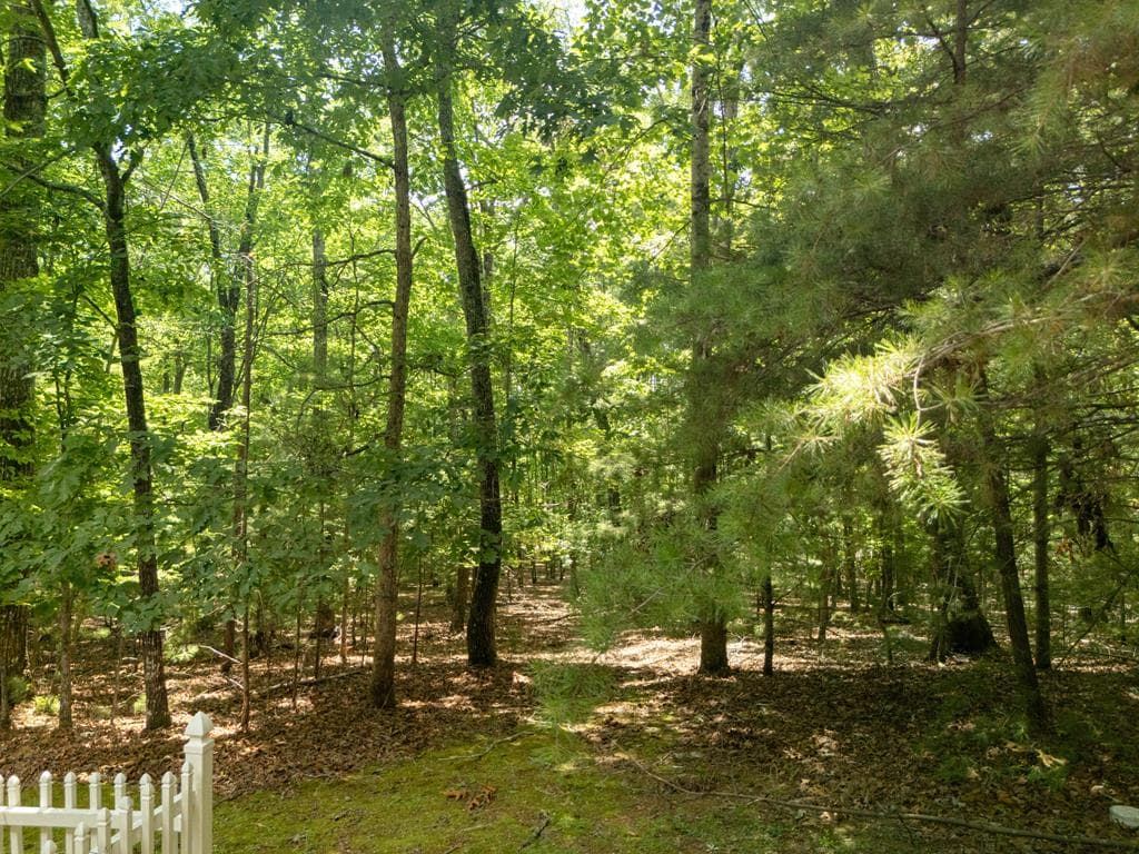 805 Tomahawk Trail, Blairsville GA 30512 - Photo