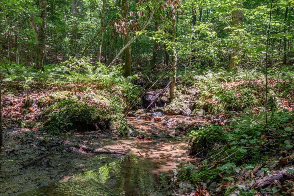 5 AC Solar Drive, Blue Ridge GA 30513 - Photo
