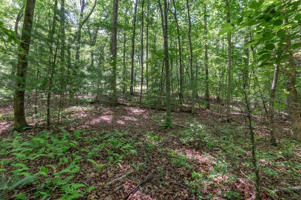 5 AC Solar Drive, Blue Ridge GA 30513 - Photo
