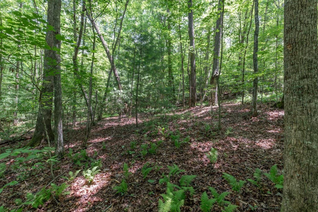 5 AC Solar Drive, Blue Ridge GA 30513 - Photo