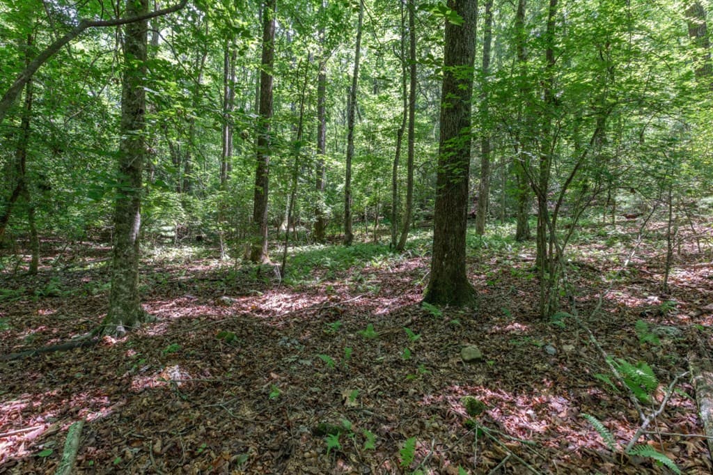 5 AC Solar Drive, Blue Ridge GA 30513 - Photo