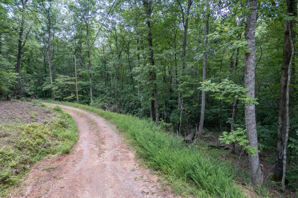 5 AC Solar Drive, Blue Ridge GA 30513 - Photo