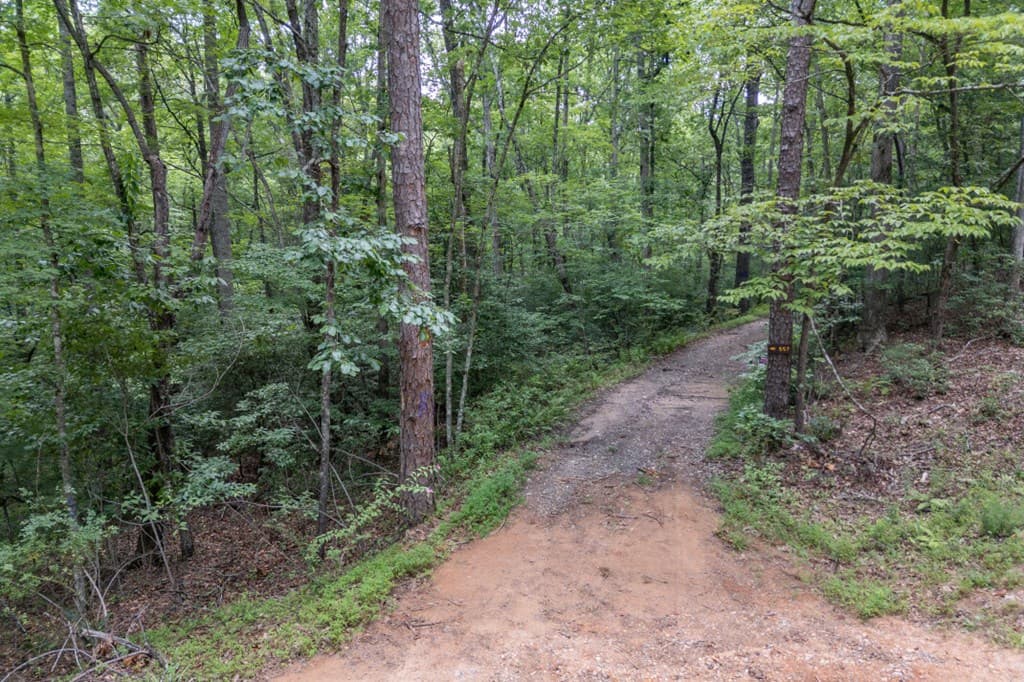 5 AC Solar Drive, Blue Ridge GA 30513 - Photo
