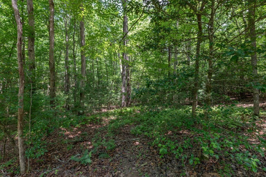 5 AC Solar Drive, Blue Ridge GA 30513 - Photo
