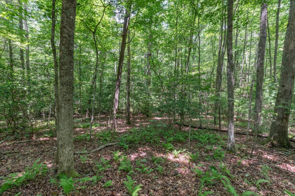 5 AC Solar Drive, Blue Ridge GA 30513 - Photo