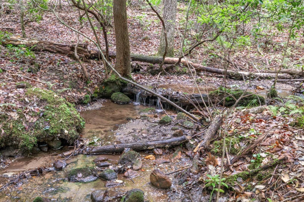 6 AC Solar Drive, Blue Ridge GA 30513 - Photo