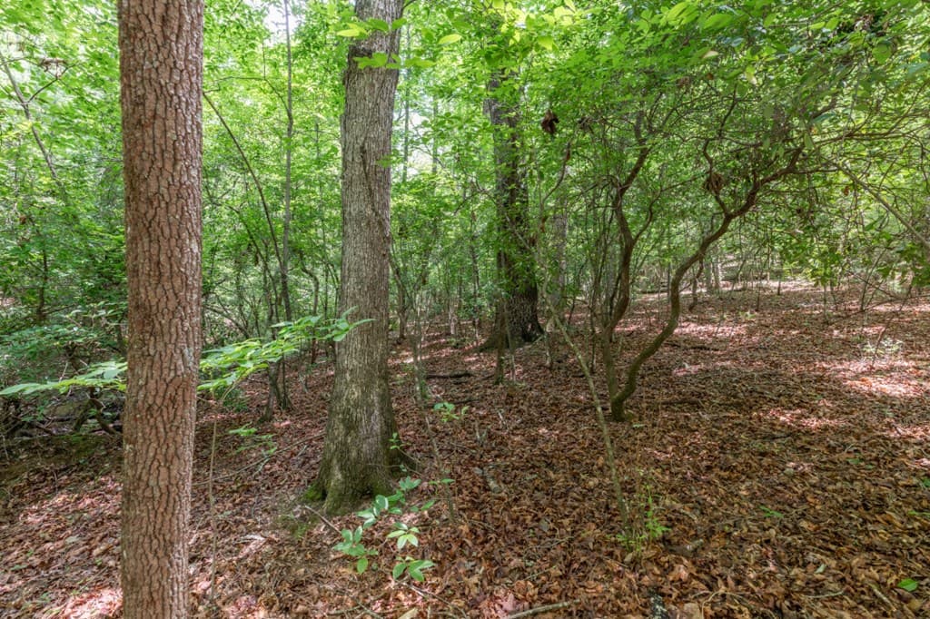 6 AC Solar Drive, Blue Ridge GA 30513 - Photo