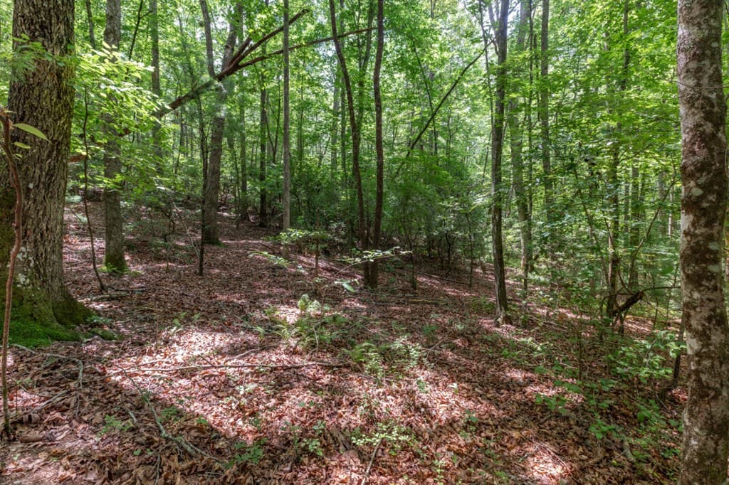 6 AC Solar Drive, Blue Ridge GA 30513 - Photo