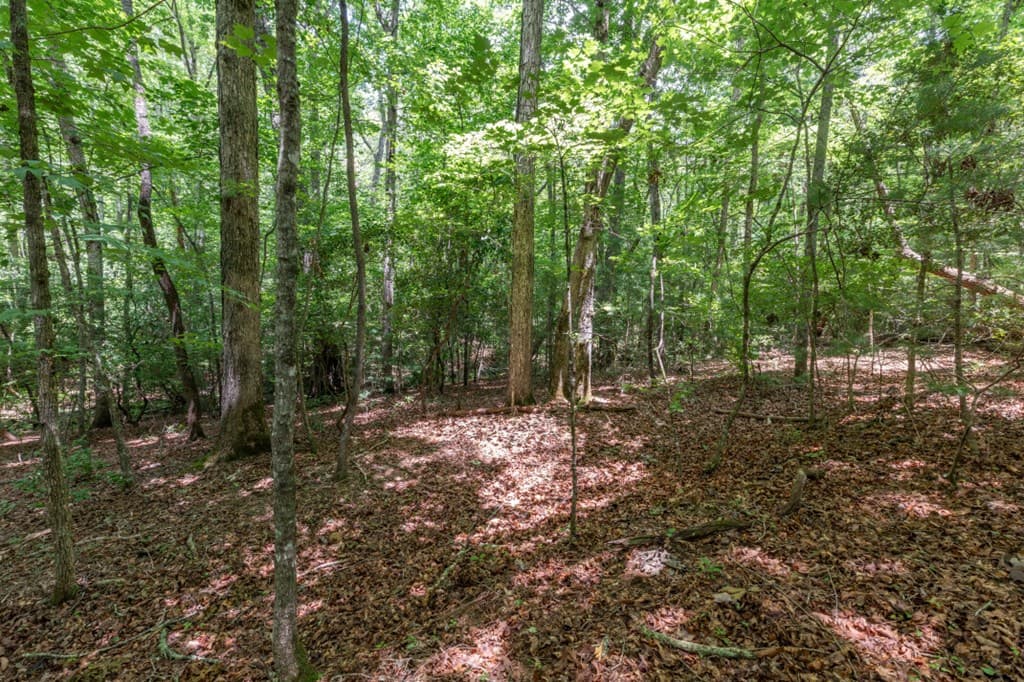 6 AC Solar Drive, Blue Ridge GA 30513 - Photo