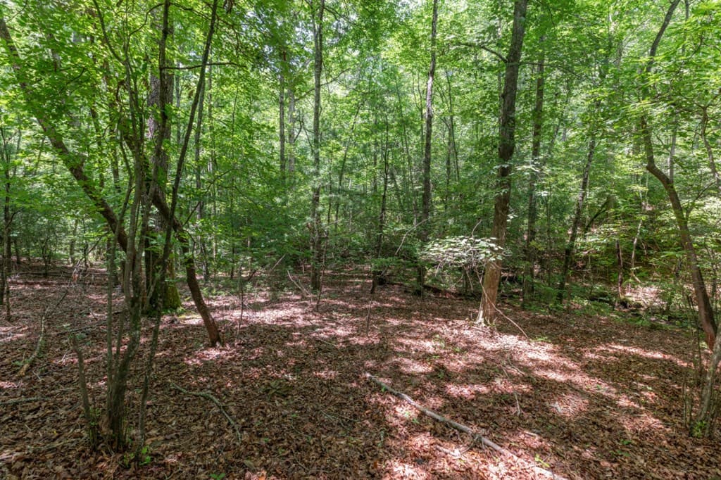 6 AC Solar Drive, Blue Ridge GA 30513 - Photo