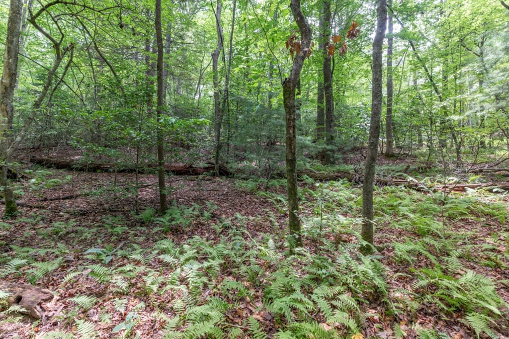 6 AC Solar Drive, Blue Ridge GA 30513 - Photo