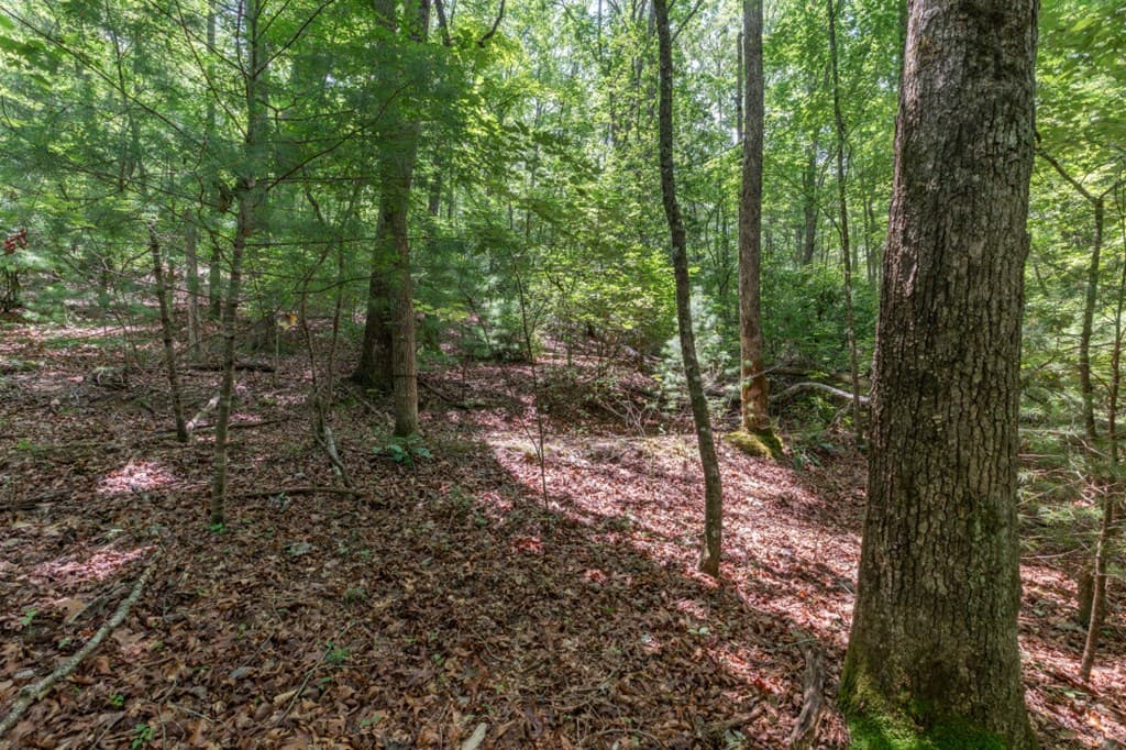 6 AC Solar Drive, Blue Ridge GA 30513 - Photo