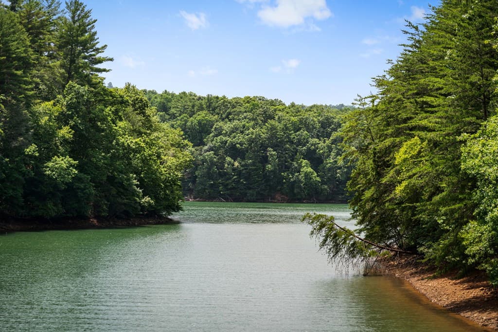 355 Old Camp Loop, Morganton GA 30560 - Photo