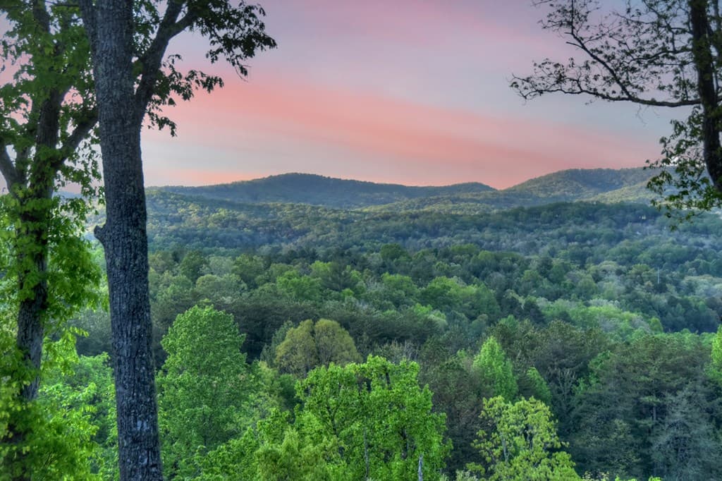 329 Robinson Thomas Road, Morganton GA 30560 - Photo