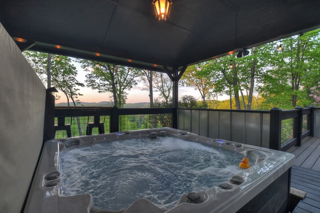 329 Robinson Thomas Road, Morganton GA 30560 - Photo