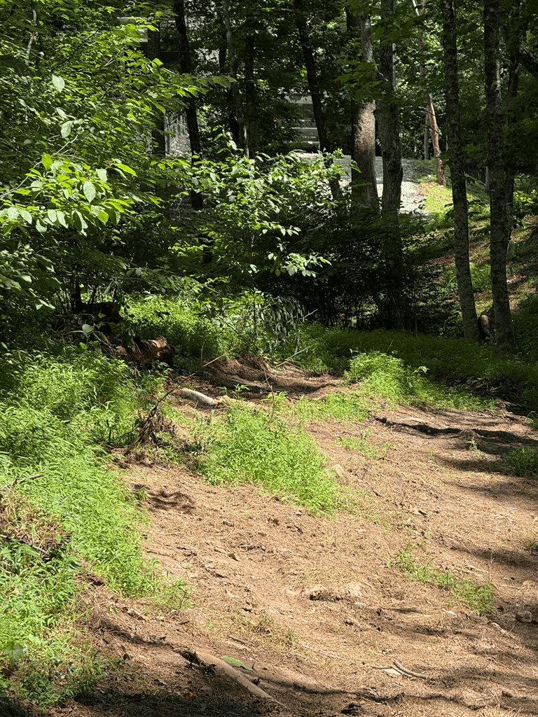 79 Star Creek Court, Morganton GA 30560 - Photo
