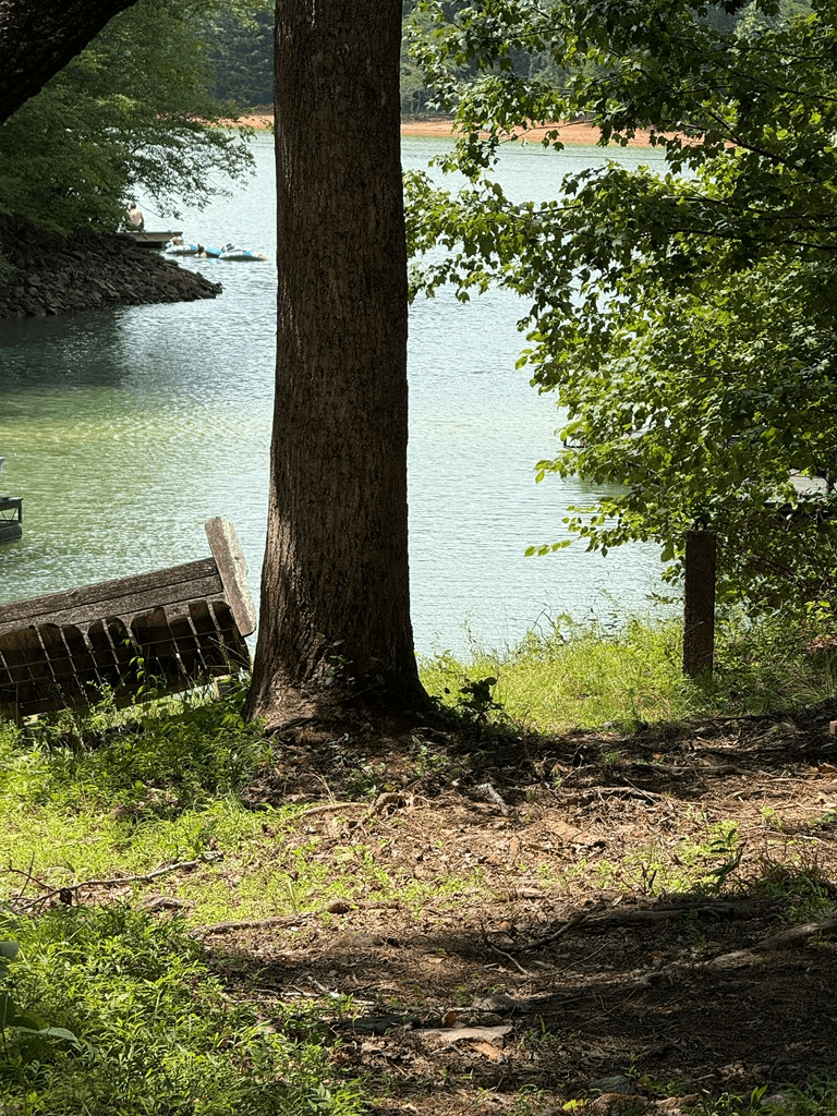 79 Star Creek Court, Morganton GA 30560 - Photo