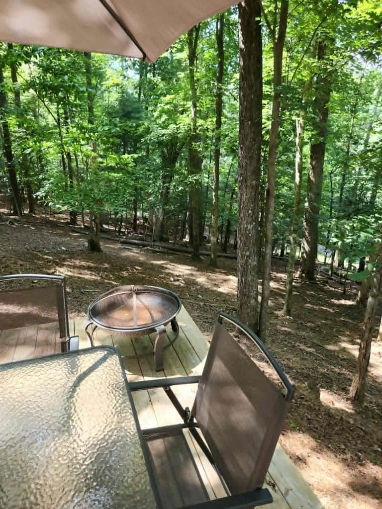 118 10th Street, Ellijay GA 30540 - Photo
