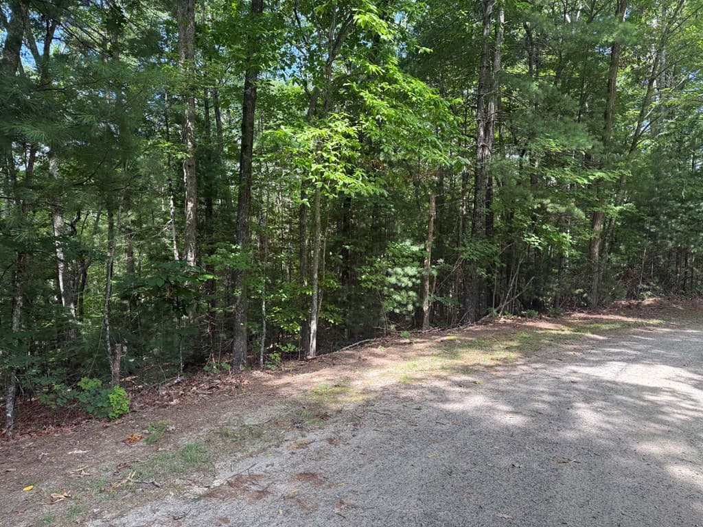 0 Guy Eller Road, Murphy NC 28906 - Photo