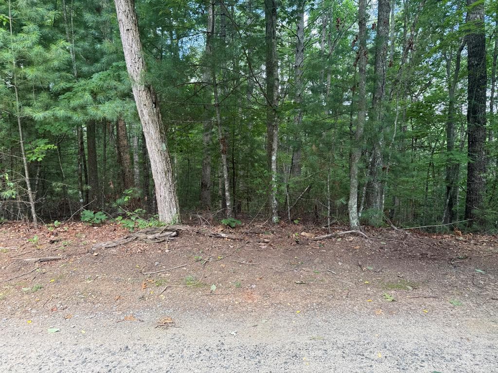 0 Guy Eller Road, Murphy NC 28906 - Primary photo