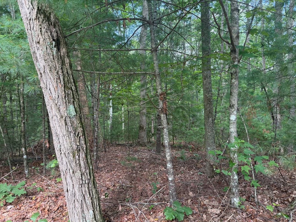 0 Guy Eller Road, Murphy NC 28906 - Photo