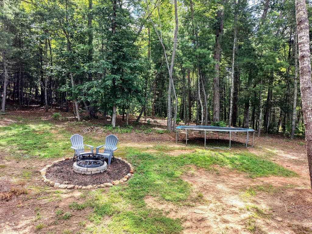 359 New Water Way, Blairsville GA 30512 - Photo