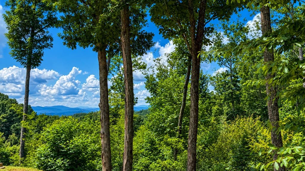 393 Legendary Ridge Road, Murphy NC 28906 - Photo