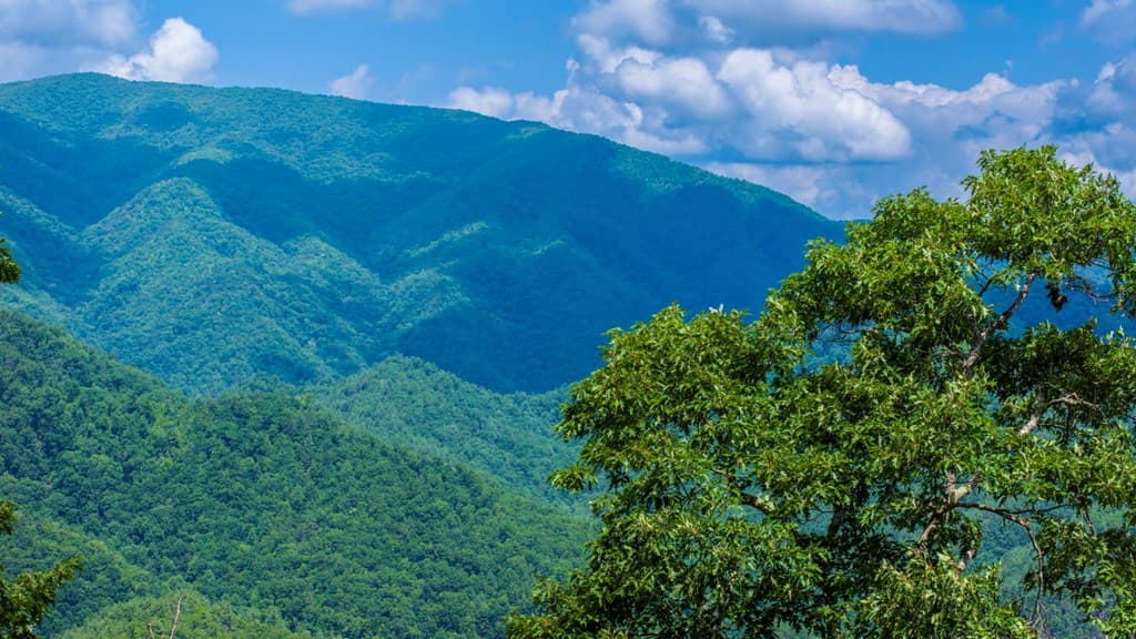 235 Rios Drive, Bryson City NC 28713 - Photo