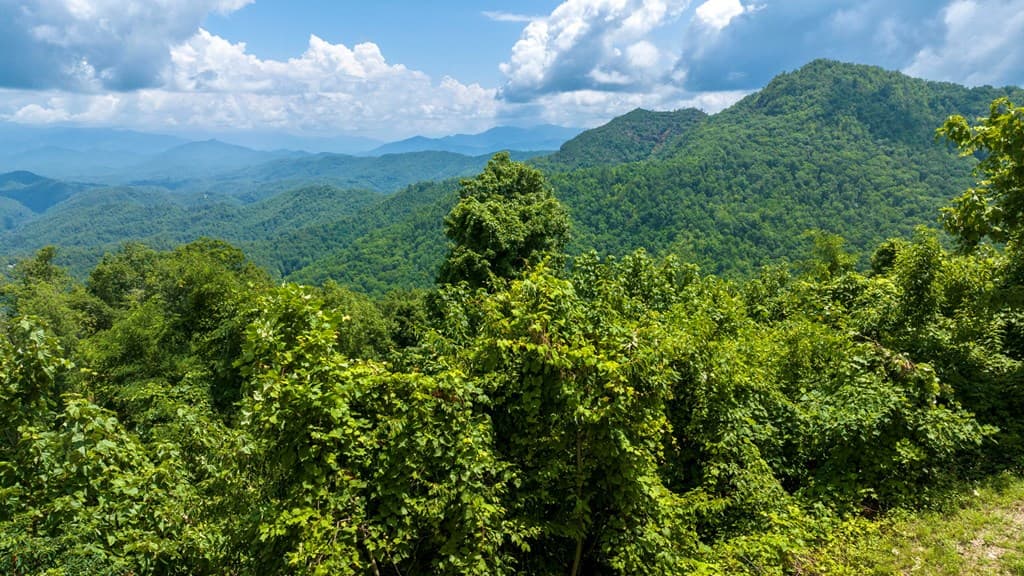 235 Rios Drive, Bryson City NC 28713 - Photo