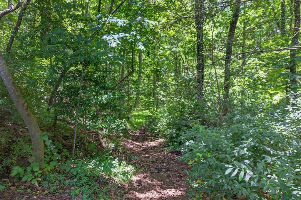 1965 E Highway 52, Ellijay GA 30536 - Photo