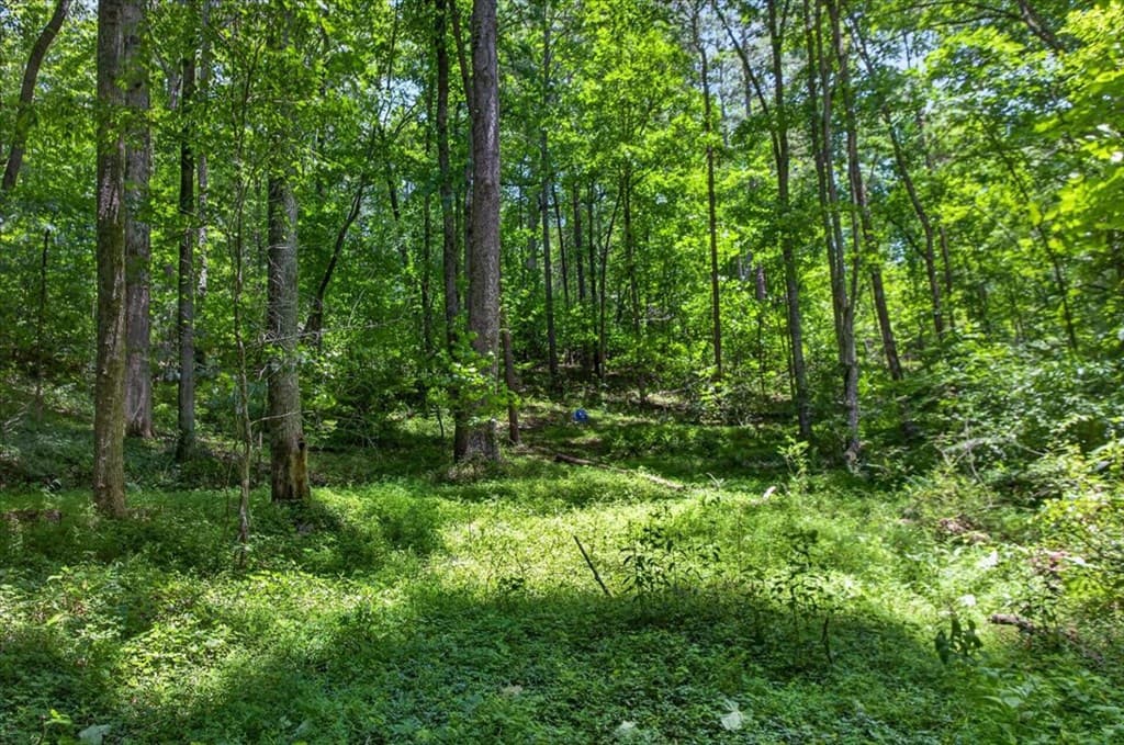 1965 E Highway 52, Ellijay GA 30536 - Photo